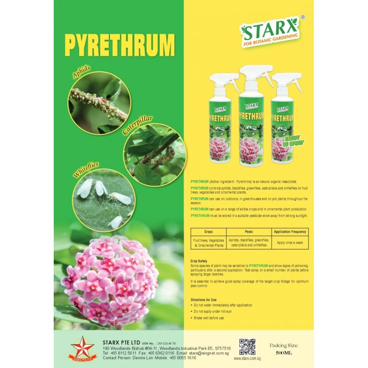 Pyrethrum Natural Organic Insecticide Starx