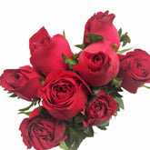FreshCut Rose