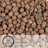 Leca (Usagi)