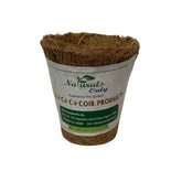 Biodegradable Eco Coco Coir / Fibre Seedling Cups