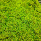 Artificial Moss Cloth 苔藓布