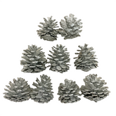 Decorative Christmas Silver Pinecone (Pack of 9) Candy Floriculture