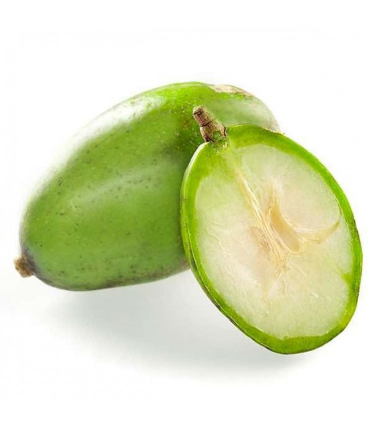 Kedondong 沙梨 (Spondias dulcis)