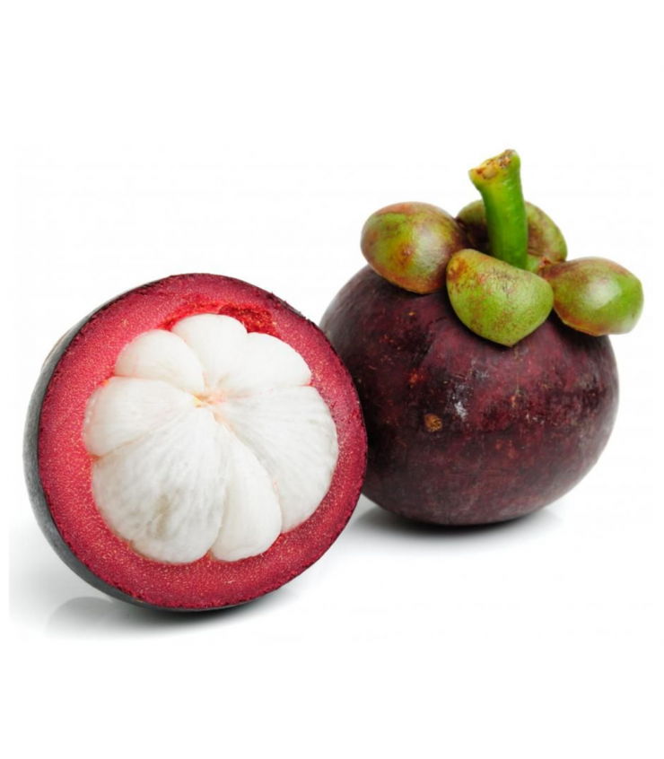 Mangoesteen (Garcinia mangostana)