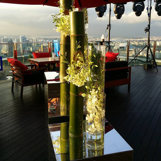 2016 MBS Sky Park