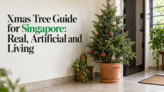 Potted living Christmas tree in an apartment foyer