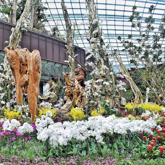 2015 Gardens By The Bay