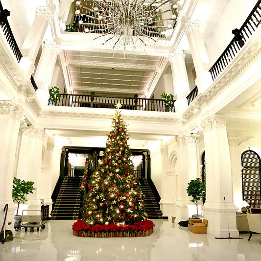 2020 Raffles Hotel