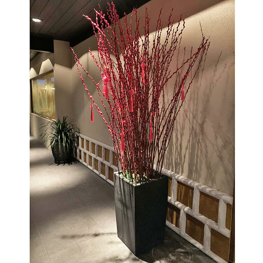 2022 Pan Pacific Hotel