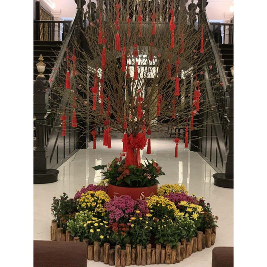 2022 Raffles Hotel