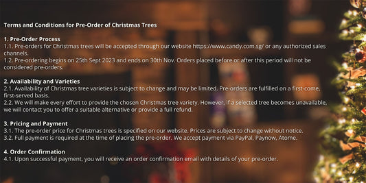 Christmas Pre-Order Terms And Conditions