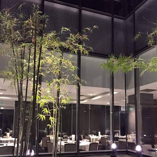 2015 Orchard Central