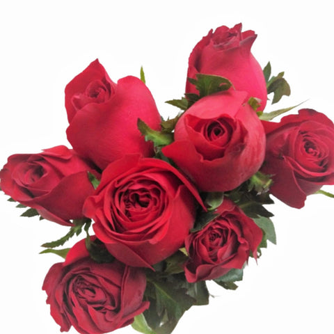 FreshCut Rose