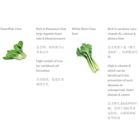 Microgreen Box (Baba)