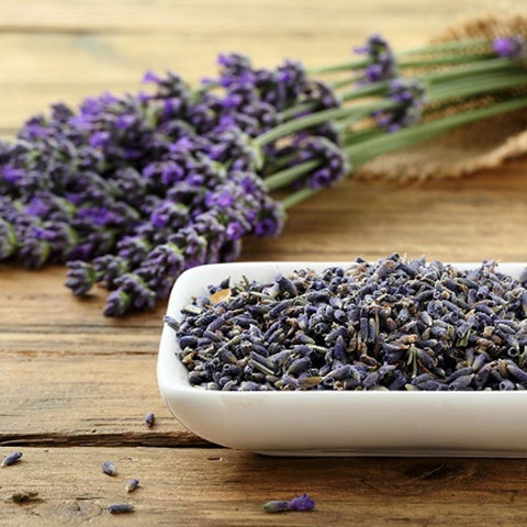 Lavender 薰衣草 (Lavandula)