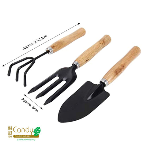 3 Pcs Garden Tool Set (Wooden Handle)