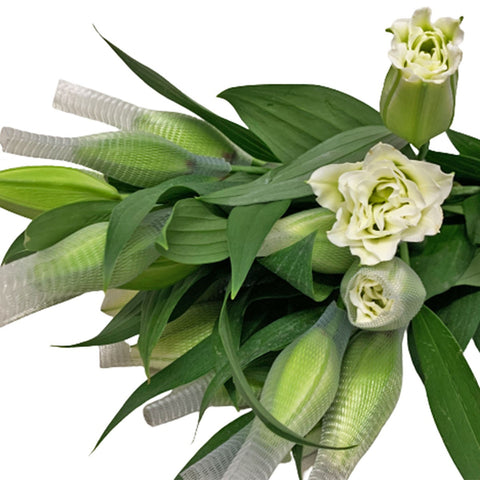 FreshCut Rose Lily