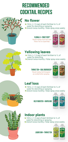 SOIL ENERGISER Soil Conditioner (naturalGRO)