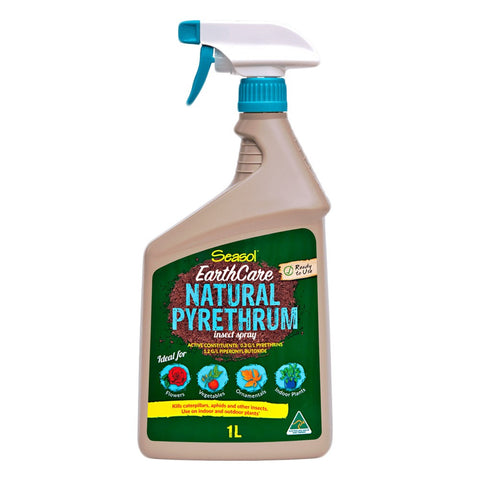 Ready-To-Use EarthCare Natural Pyrethrum Insect Spray (Seasol)