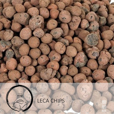 Leca (Usagi)