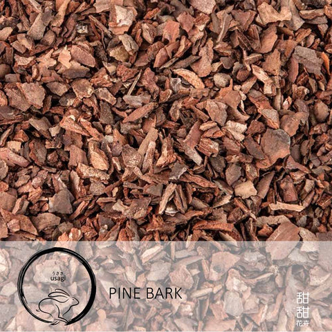 Pine Bark (Usagi)