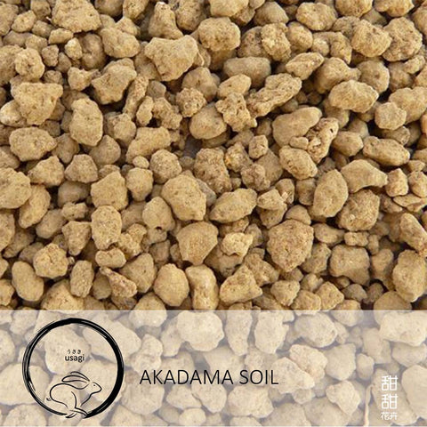 Akadama Soil 赤玉土 (Usagi)