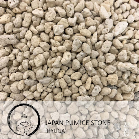 Japan Pumice Stone 'Hyuga' (Usagi)