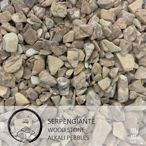 Serpengiante - Wood Stone - Alkali Pebbles (Usagi)