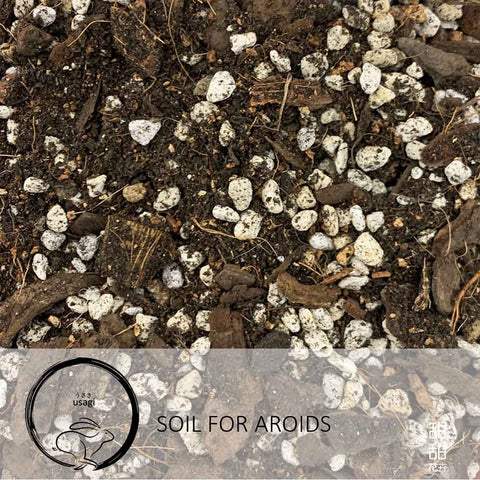 Soil for Aroids (Usagi)