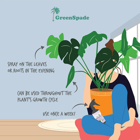 Fungal Protect RTU (GreenSpade)