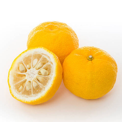 Yuzu 柚子 ゆず Citrus Junos (JAPAN)