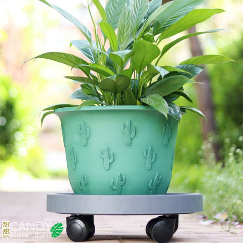 Flower Pot Caddy 钢化圓轮托盤 (HuaBoShi 花博士) Saucer with wheels