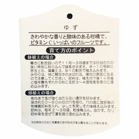 Yuzu 柚子 ゆず Citrus Junos (JAPAN)
