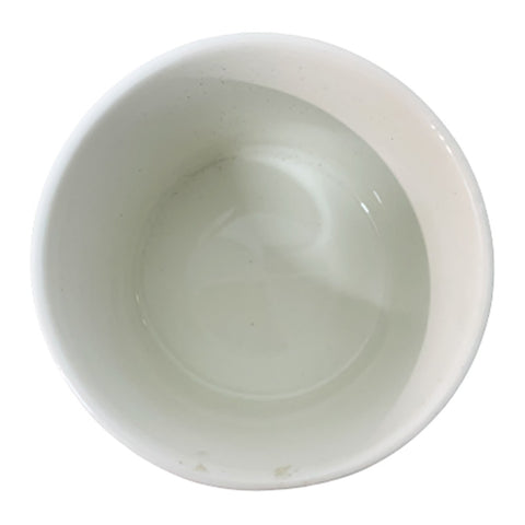 Decorative Planter Pot (2519)