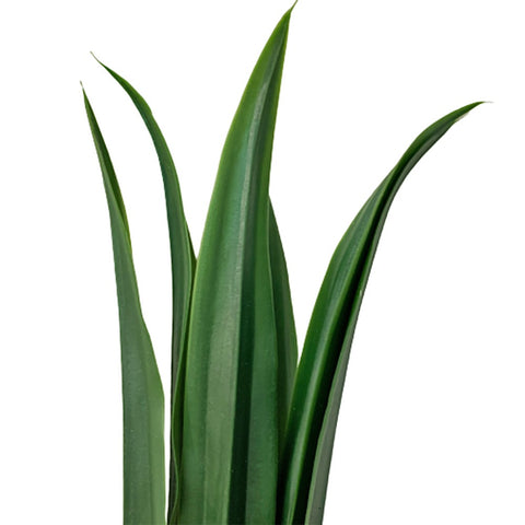 Artificial Long Leave