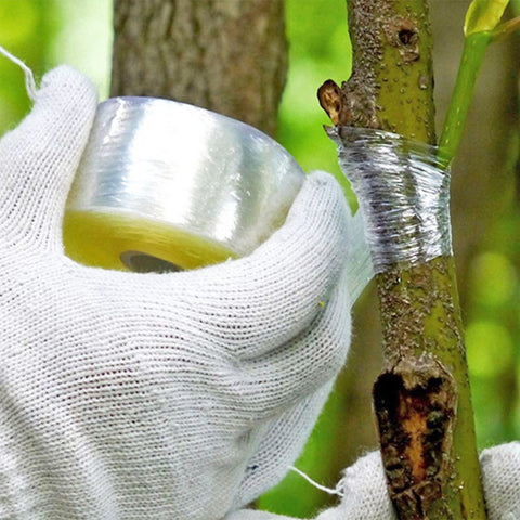 Grafting Tape