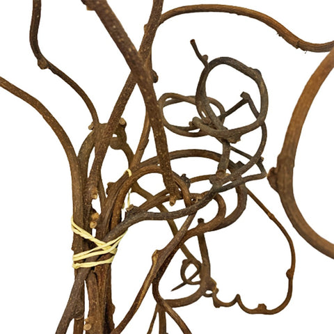 Kiwi Vine
