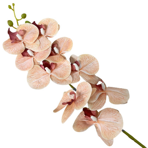 Artificial Phalaenopsis