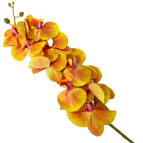 Artificial Phalaenopsis