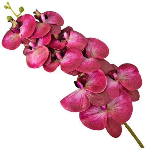 Artificial Phalaenopsis