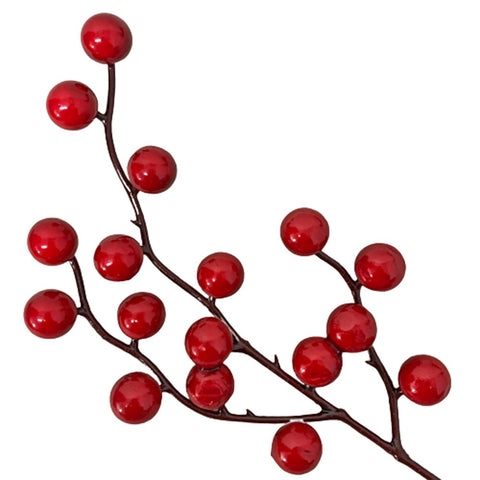 Decorative Red Berries