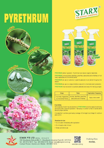 Pyrethrum - Natural Organic Insecticide (STARX)