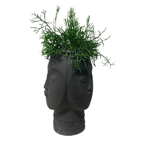 Rhipsalis on 3-Faced Greek Statue Planter Pot