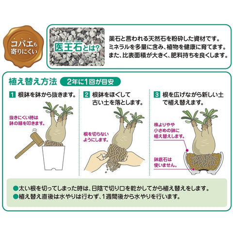 Soil for Caudex plants (Hanagokoro)