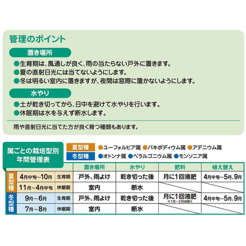 Soil for Caudex plants (Hanagokoro)