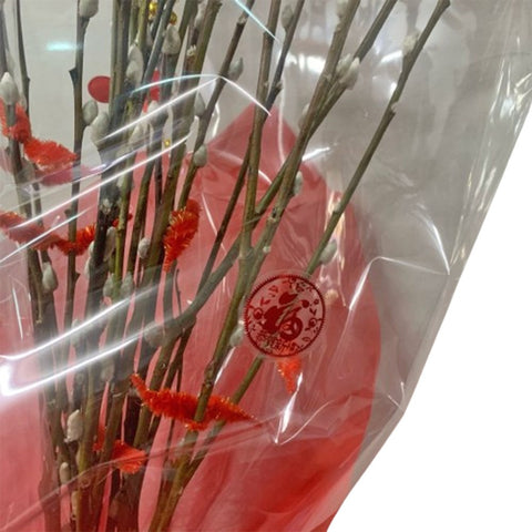 CNY Pussy Willow 银柳 Bouquet