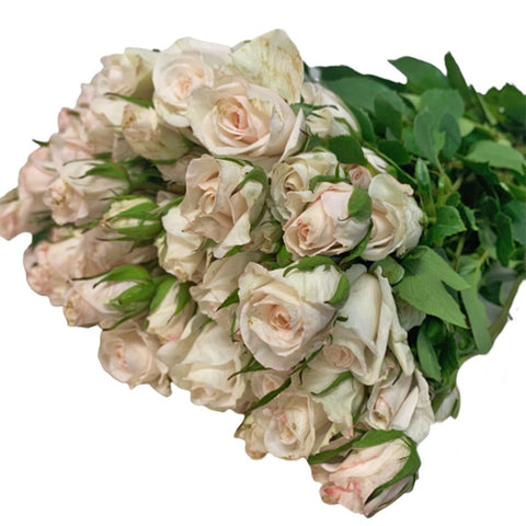 [Festive] FreshCut Rose Spray