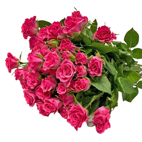 [Festive] FreshCut Rose Spray