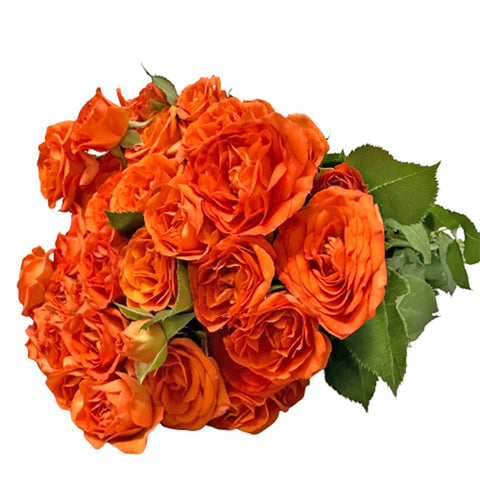 [Festive] FreshCut Rose Spray