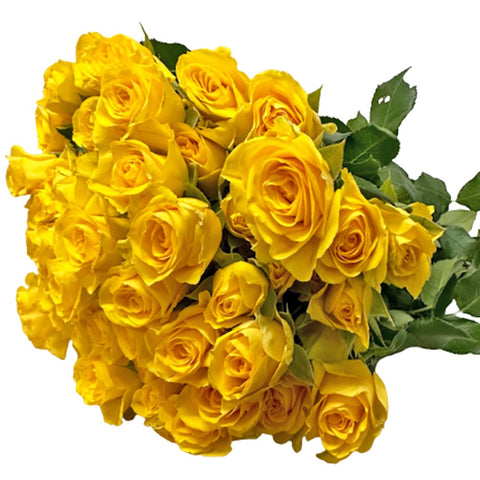[Festive] FreshCut Rose Spray
